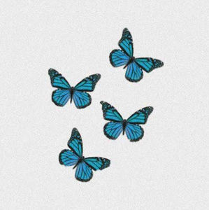 Meet your Posher, Hanna